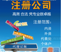 深圳工商注册代办优质商家推荐 人工智能公共服务平台技术咨询服务